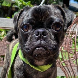 Meet your Posher, Alondra